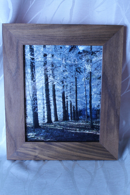 Walnut Frame