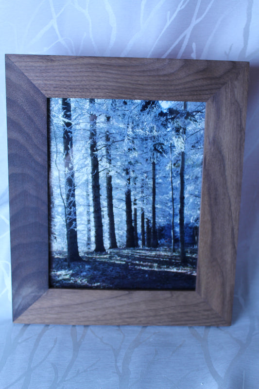 Walnut Frame